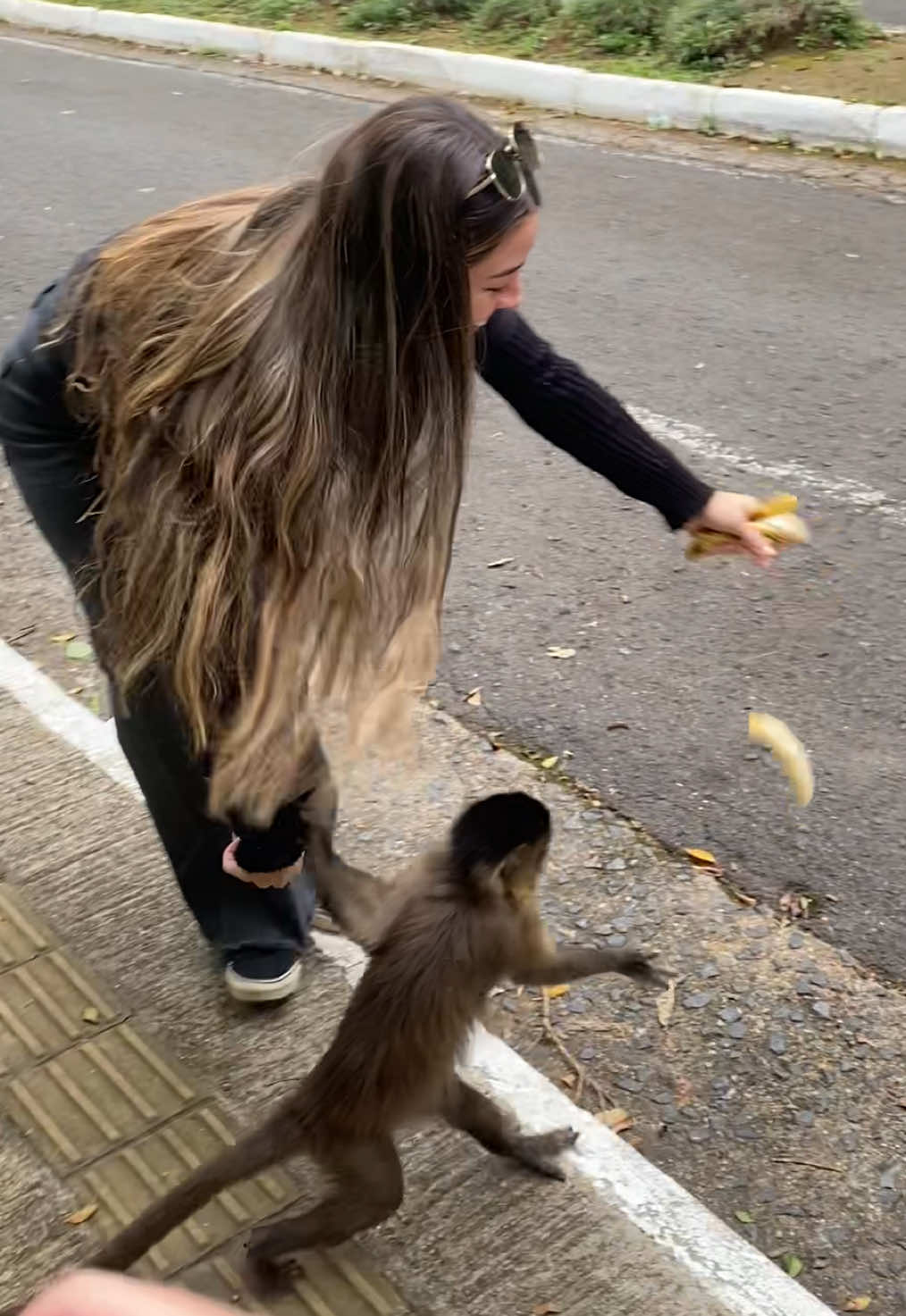 cansei de ser roubada