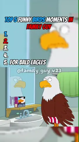 top 5 funny birds moments in family guy 😂🐦🪶#familyguy #top5 #bird #animal #petergriffin #eagles #crocodile #bee #owl #pigeon #fyp #funnytiktok #tiktokusa #videoviral 