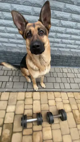 Sport Rocky 