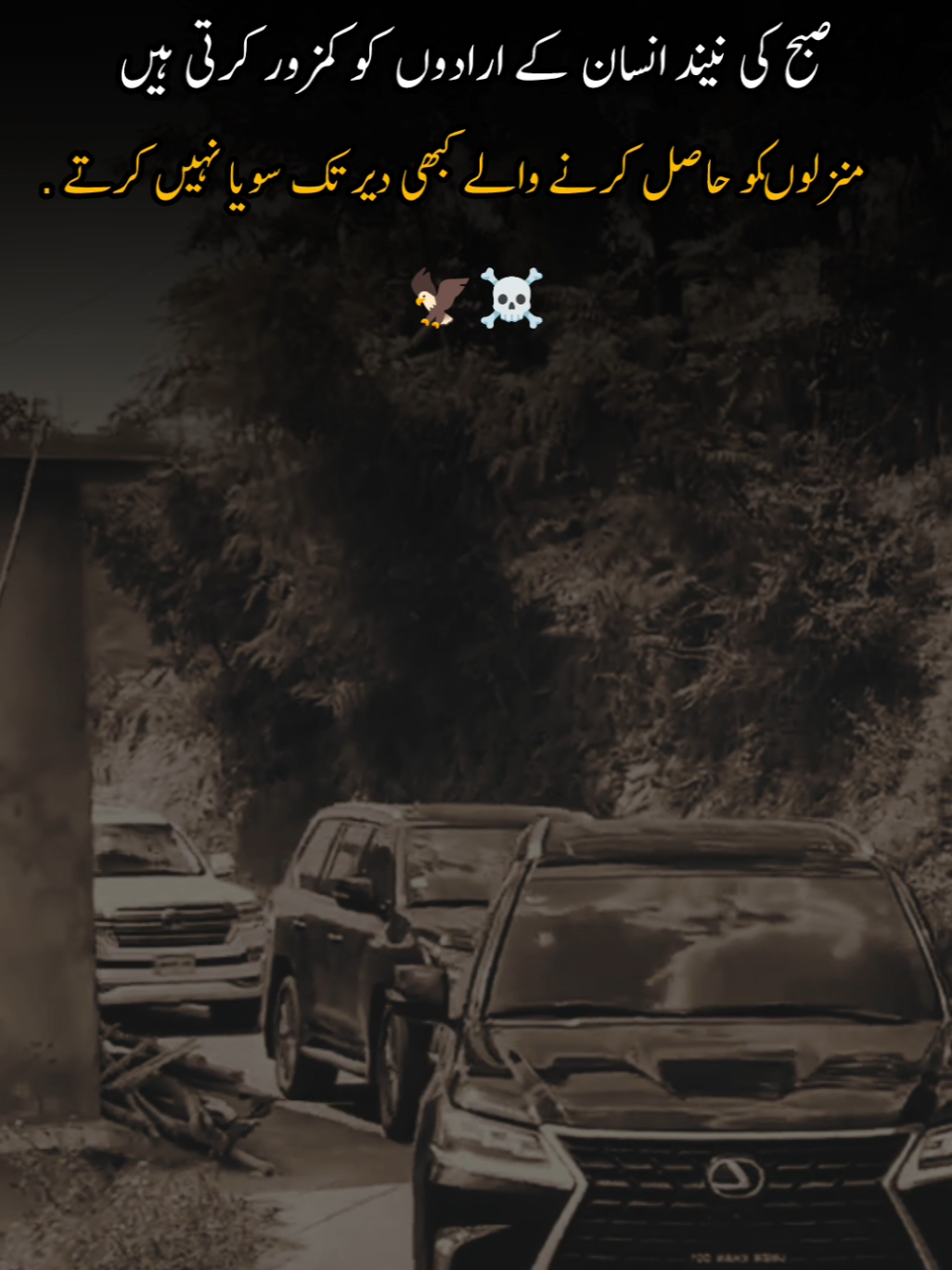 #tiktokpakistan #lx570 #foryou 