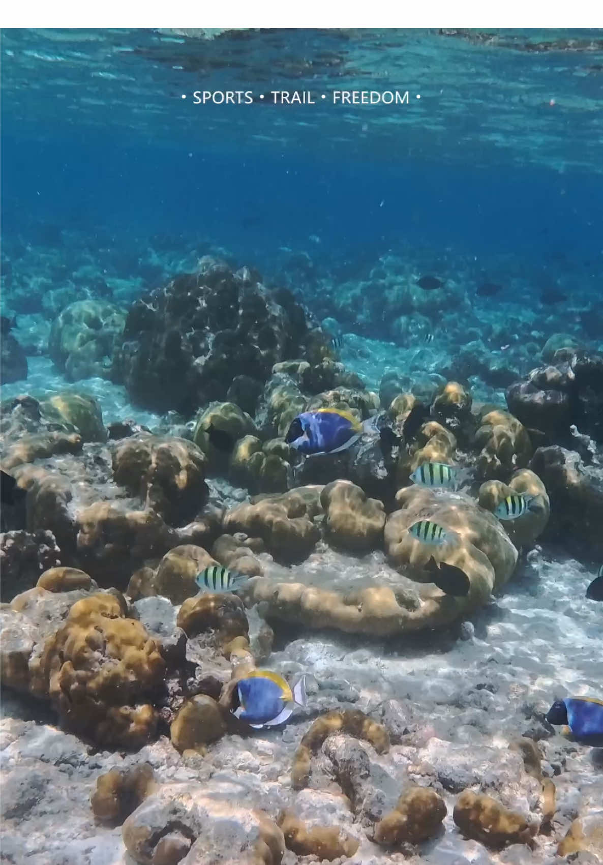 Vilingili vibes 🤿💙 #maldives #snorkeling #vilingili