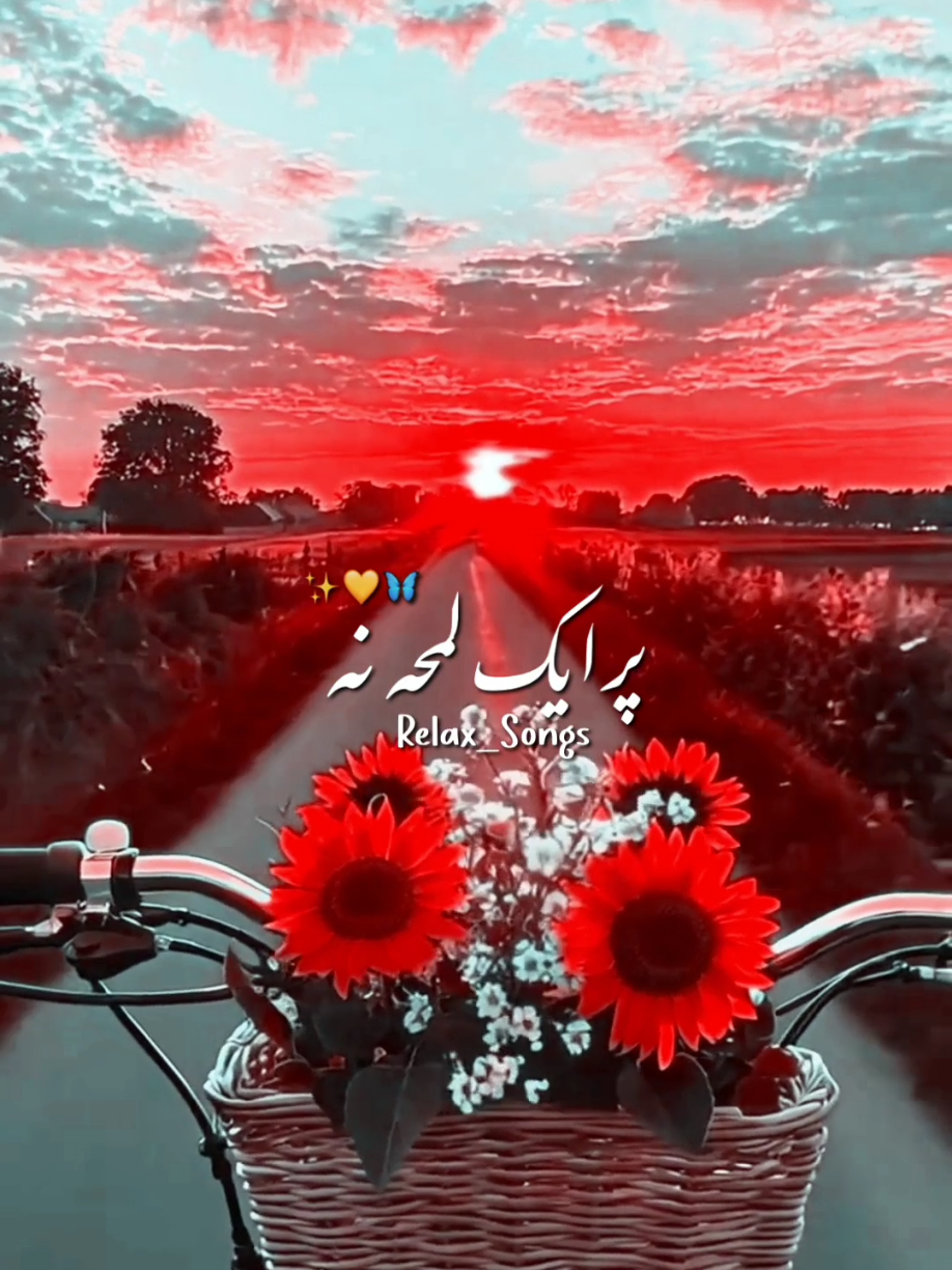 Apne To Apne Hoty Hain ❤🥀 #song #romanticsong #magicmotion #standwithkashmir #foryoupage #Foryou #viral #fyp 