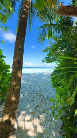 I found the path that leads to heaven 😍🌿🥥🌊✌🏻 #maldives #maldivestiktok #maldivesvacation #beachvibes #peacefull #tropical #Summer #turquoise #ocean #plage #voyage #paradise #relaxing #landscape #beautifuldestinations #ayada #tropics #traveltok #travelcontent #mostbeautiful #paradisiaque #frypgシ #fry 