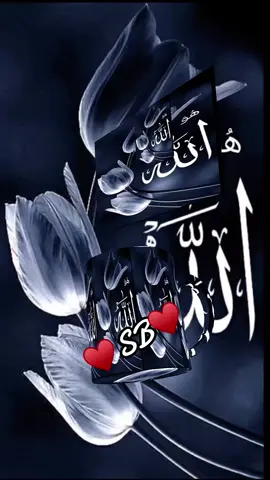 #allah❤️ #hazartmuhammads_s_a_w_w_❤️ #allahuekber #Azan♥️🕋 #islamic_video #fypシ #quranrecitation♥️🕋 