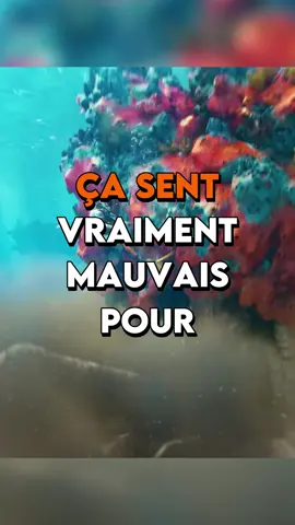 Une histoire de gros sous #jeuxvideo #subnautica 