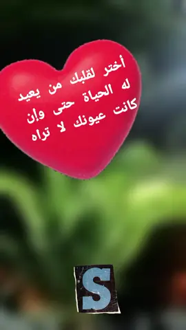 #اقتباسات وكلام راقي 