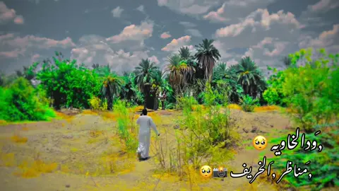 #تصويري_احترافي_الاجواء👌🏻🕊😴  #سودانيز_تيك_توك_مشاهير_السودان🇸🇩 