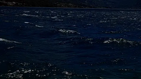 #море#красота#вайб#грустно#невзаимно#пятьсантиметроввсекунду#5сантиметроввсекунду#любовь#звук#звукизаниме#рекомендации 