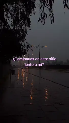 ¿irías conmigo? #textorosa #parati #viral #fyp #paradedicar 