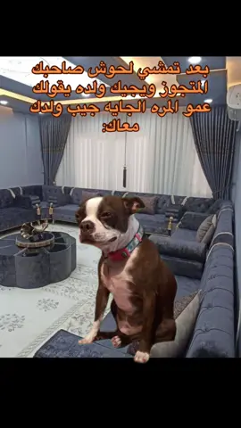 #صالح_القبائلي #اجدابيا #ليبيا_درنه_بنغازي_اجدابيا❤️ #شارع_اطرابلس_اجدابيا #اجدابيا_احدابيا_الزويتينية #ليبيا_طرابلس_مصراتة_بنغازي_اجدابيا #fyp 
