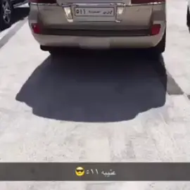 #الاد_مشيب #511 #عتيبه #الهيلا #عتيبه_الهيلا #٥١١ #برقا #روق #ابن_دغيثر_الشيباني #سعود_الشيباني 
