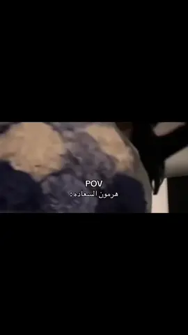 الورد #اكسبلور #اكسبلورexplore #pov #fyp 
