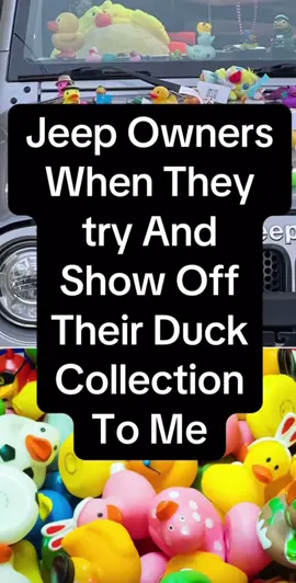 IDGAF about your ducks! #jeep #walton #ducks #idgaf #meme 