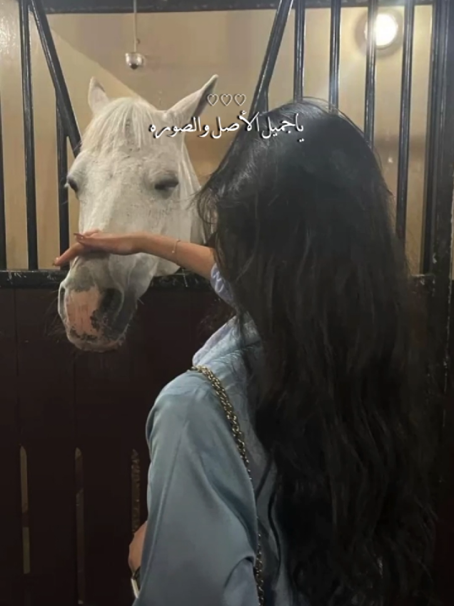🐎🖤#CapCut #مهرة #خيل_وخياله🐎 #الاردن #حصان #فرس #مهرة🐎 #خيل_حصان_فرس_مهره_خيول_امهار_العاديات #خيل🐎🖤 