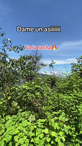 Asiiiiiiii #paratiiiiiiiiiiiiiiiiiiiiiiiiiiiiiii #paratiiiiiiiiiiiiiiiiiiiiiiiiiiiiiii #elchimador #xybca #ponmeenparati 