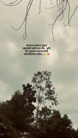 আমাকে হারালে তুমার আহামরি ক্ষতি হবে নাহ.. তুমি চাঁদ তুমাকে হাজার লোক ভালোবাসতে চাইবে.. 🙂❤️‍🩹