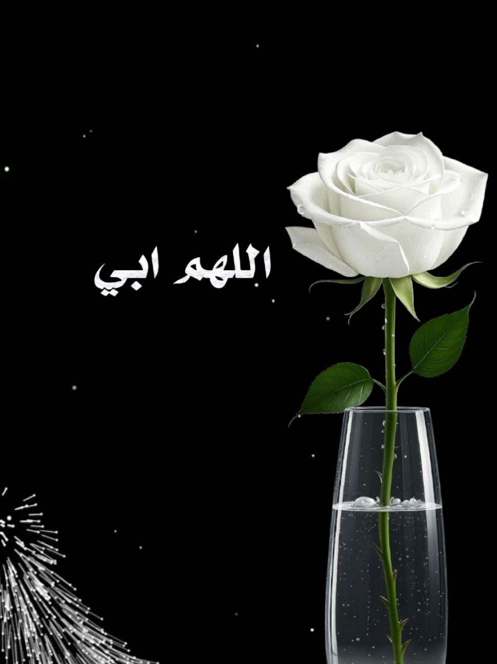 #اللهم_ابي_احفظه_بعينك_التي_لاتناااام🩵