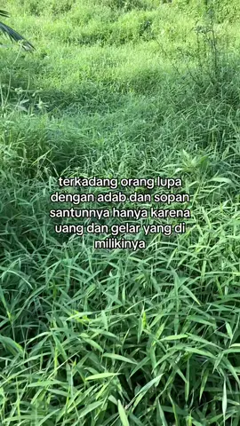 #ternaksapi #bismillahfyp #fyp #agenlembu #ngarit 