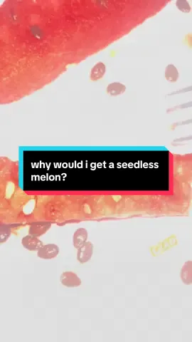 Seeds don’t stand a chance vs the fork slicer