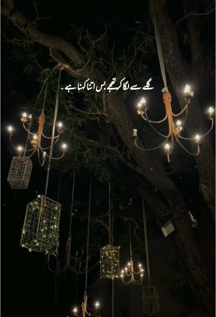 𝙇𝙞𝙛𝙚 𝙇𝙞𝙣𝙚 🖇 💫 #foryoupagе #poetry #Love #shayri #lines #status #lovequotes #fypシ゚ #viralvideo #growmyaccount 