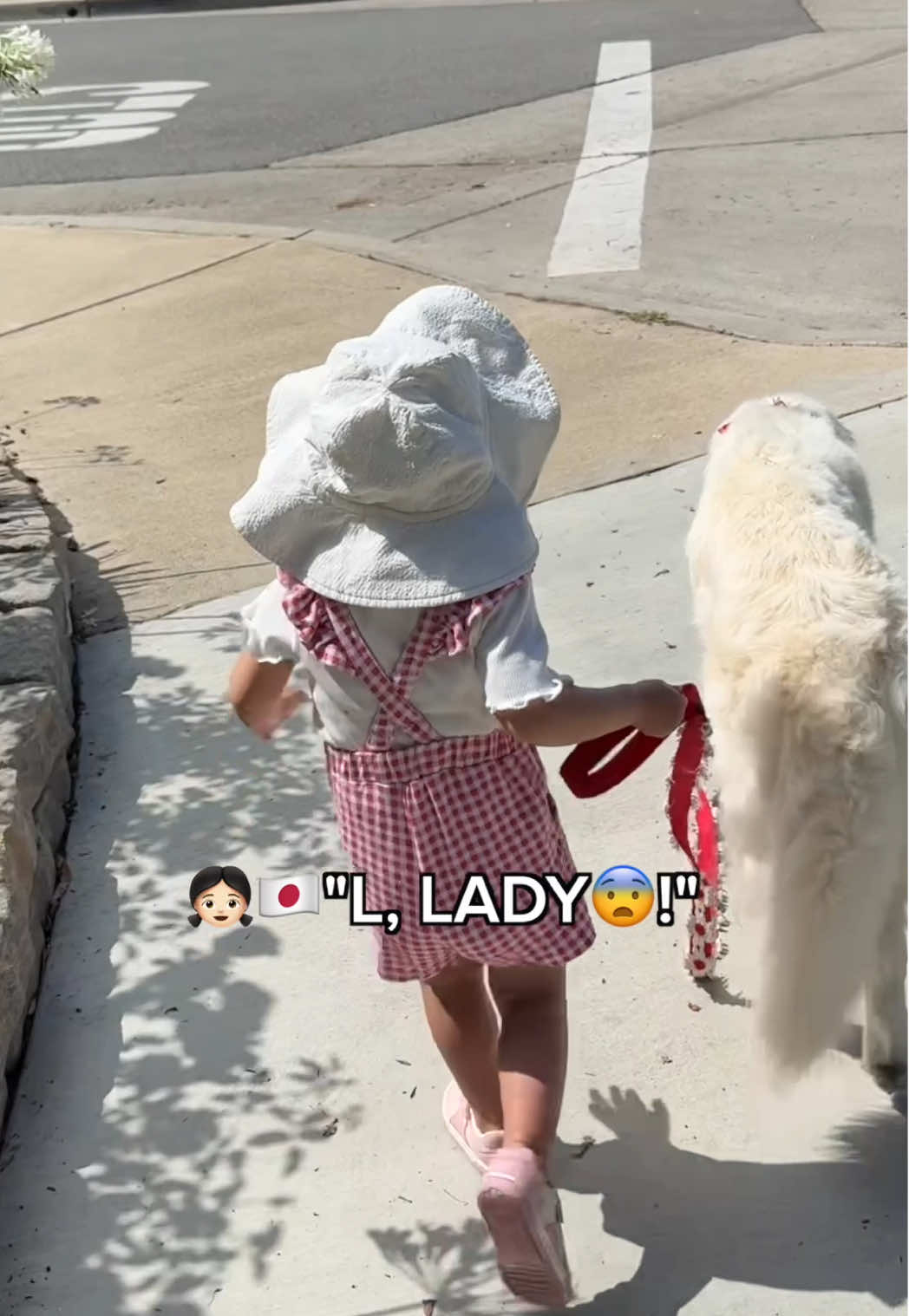 Quite eventful walk to say the least😂🐶👧🏻🐶 #toddlersoftiktok #kidsanddogs #sisters #goldenretriever 