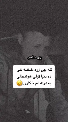 چی زړه خفه وی باچاهۍ دی سره وخوری 😣💔#pppppppppppppppp #greenscreen #foryou 