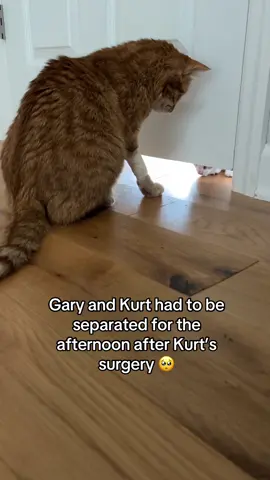 they didn’t like being apart 🥹
