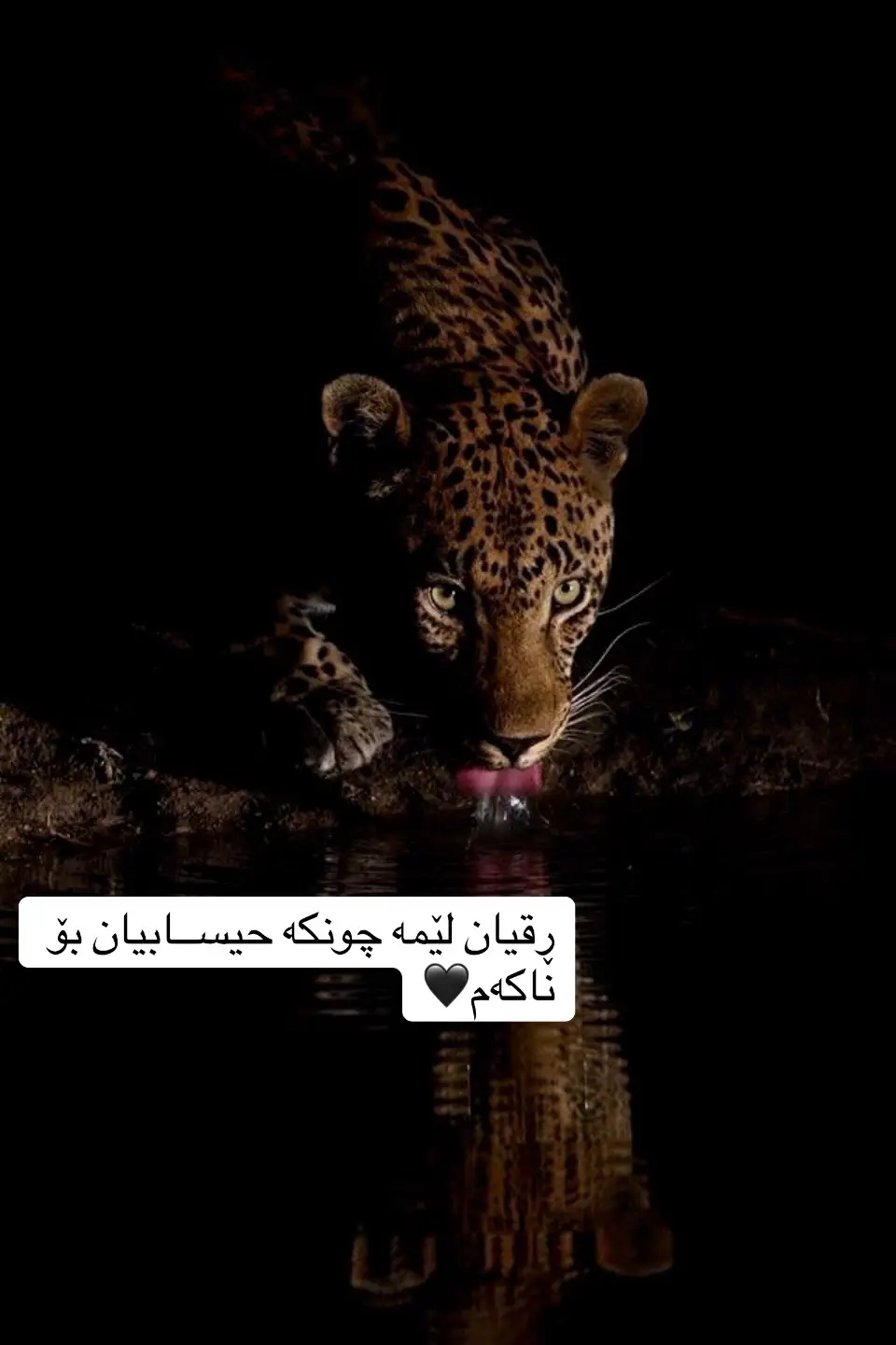 #fyp #foryoupage #anime #fy #fpy_tiktok_viral #foryou #viral #viralvideo #hawler_slemani_dhok_karkuk_hallabja #capcut 