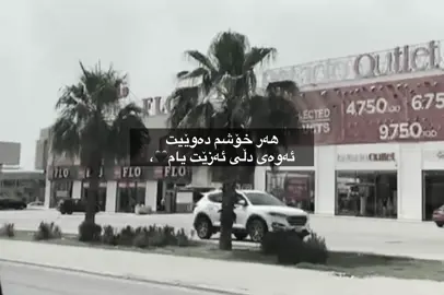 Xoshmdawe🖤,#tiktok #actives? #foryou @TikTok @#foryou 🖤,