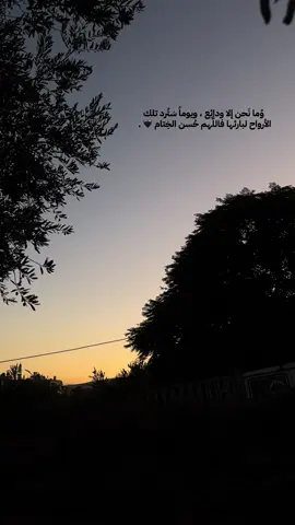 #ورضيت_حين_مضيت_عني #اقتلت_اما_زلت_حياا_زفو_حبيب_القلب🥺💔 وُما نَحن إلا ودائِع ، ويوماً سَتُرد تلك الأرواح لبارئها فاللَّهم حُسن الخِتام 🖤 . #سالم_نابلس❤️ #عشوائيات 