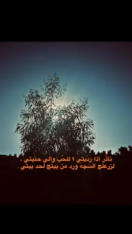 ناذَر أذا ردَيتي ؟ للحُب وألي حنيتي ، لزرعلچ السچهَ ورد من بيتچ لحد بيتي . #اكسبلور #صلاح_الدين #تكريت #العلم #شعر_شعبي_عراقي #اكسبلورexplore #شعر_عراقي #تصويري📷 #شعراء_وذواقين_الشعر_الشعبي🎸💔🥀🗣 #baghdad #اكسبلور_تيك_توك #viral #fypシ゚ #fypシ゚ #عبدالله_الرمضان #بدون_هشتاق 