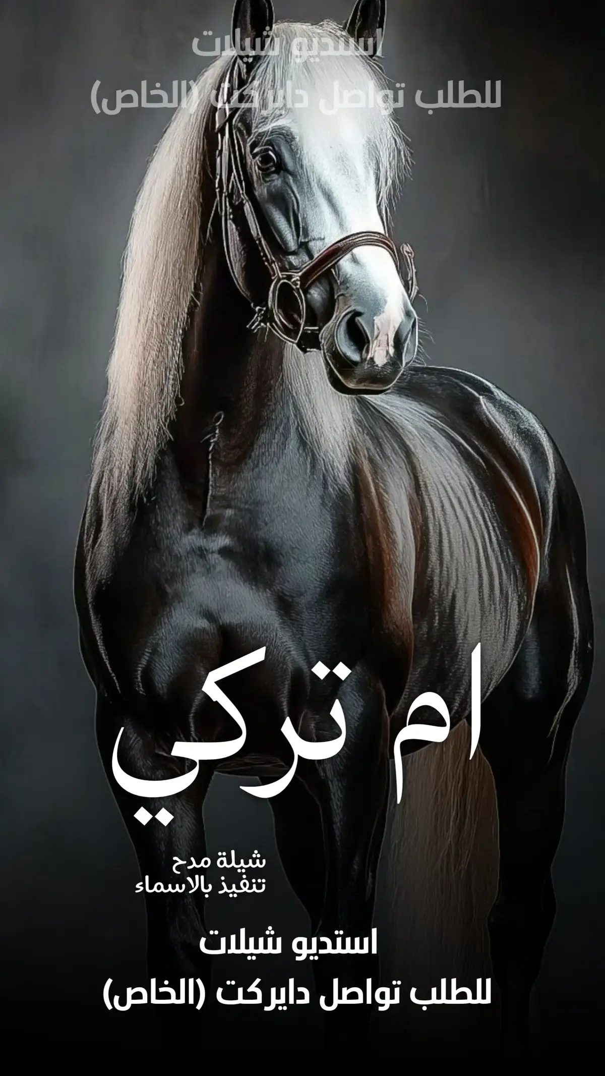 #السعوديه🇸🇦 #الكويت🇰🇼 #قطر_الدوحة🇶🇦 #البحرين🇧🇭 #الامارات #-للطلب_الشيلات_والزفات_التواصل_معنا_وتساب_من_داخل_المملك-شيلات_زفات_تخرجات_مواليد_عقد_قرآن_مولوده_مولود شيلات الخروج من_الاندين ظظة سجن_شيلات_خروج - بسلامه - شيلات -شفاءوسلامه_شيلات_تقاعد_تخرج_ملازم_تخرج_عسكري_تخرج_من_الدفاع_المدني_الكويت_قطر_السعوديةالامارات_البحرين_الكويت_الرياض_المدينه_ابها_شيلات_حماسيه_طرررب_شيلات_عرسان_شيلات_ام_العروس_شيلات_ام_العروسه_شيلات_خطوبه_زفات_بالاسماء_ز فات_بدون اسماء - كتابة كلمات_جديده  #استديو_اللمسه -الماسيه_لتنفيذ_الشيلات_والزفات والقصائدالشعريه_لجميع_المناسبات_شيلات_مهنا_العتيبي_فهد_العلي_النايف_فواز_العنزي_شيلات_بنت_ابوها_شيلة_شامخه_بنت_ابوها_الرياض_جده_مها_شيلة_شامخه_بنت_ابوها_الرياض_جده_مكه_المكرمه_ابها_قطر_البحرين_الكويت_الامارات_شيلات_سعد_محسن_شيلات_ناصر_السيحاني_شيلات_عز_السعود_شيلات_قايد_الوبيري_2024_شيلات_فلاح_المسردي_شيلات_الجف راني شيلات البندر_بن_عوير_فهد_بن_فصلا_محمد_بن_غرمان_جديد_استديو_الزينه#للطلب_الشيلات_التواصل_معنا_وتساب_من_داخل_المملك_شيلات_زفات_تخرجات_موال -بسلامه-شيلات-شفاء_وسلامه_شيلات_تقاعد_تخرج_ملازم_تخرج_عسكري_تخرج_من_الدفاع_المدني_الكويت_قطر_السعودية_الامارات_البحرين_الكويت_الرياض_المدينه_ابها_شيلات_حماسيه_طرررب_شيلات_عرسان_شيلات_ام_العروس_شيلات_ام_العروسه_شيلات_خطوبه_زفات_بالاسماء_زفات_بدون_اسماءكتابةكلمات_جديدةء_زفات_بدون_اسماء_كتابة_كلمات_خارج_المملكه_اللمسه-الماسيه_لتنفيذ_الشيلات_والزفات_والقصائد_الشعريه_لجميع_المناسبات_شيلات_مهنا_العتيبي_فهد_العلي_النايف_فواز_العنزي_شيلات_بنت_ابوها_شيلة_شامخه_بنت_ابوها_الرياض_جده_مكه_المكرمه_ابها_قطر_البحرين_الكويت_الامارات_شيلات_سعد_محسن_شيلات_ناصرالسيحاني_شيلات_عز_السعود_شيلات_قايد_الوبيري_2024_شيلات_فلاح_المسردي_شيلات_الجفراني_شيلات_بندر_بن_عوير_فهد_بن_فصلا_محمد_بن_غرمان_جديد_كتابة_كلمات_جديدة_من-خارج_المملكه -شيلات_زفات_تخرجات_موالید_عقد_قرآن_مولوده_مولود_شيلات_خروج_من_السجن_شيلات_خروج-بسلامه_شيلات-شفاء_وسلامه_شيلات_تقاعد_تخرج_ملازم_تخرج_عسكري_تخرج_من_الدفاع_المدني_الكويت_قطر_السعودية_الامارات_البحرين_الكويت_الرياض_المدينه_ابها_شيلات_حماسيه_طرررب_ شيلات_عرسان_شيلات_ام_العروس_شيلا ت_ام_العروسه_شيلات_خطوبه_زفات_بالاسما ء_زفات_بدون_اسماء -خارج_المملكه- ع_المناسبات_شيلات_مهنا_العتيبي_فهاد_ العلي_النايف_فواز_العنزي_شيلات_بنت_ابوها_شيلة_شامخه_بنت_ابوها_الرياض_جده_مكه_المكرمه_ابها_قطر_البحرين_الكويت_الامارات_شيلات_سعد_محسن_شيلات_ناصر_السيحاني_شيلات_عز_السعود_شيلات_قايد_الوبيري_2024_ شيلات_فلاح_المسردي_شيلات_الجفراني_شيلات بندر بن عوير_فهد_بن_فصلا_محمد_بن_غرمان_جديد_كتابة_كلمات_جديد