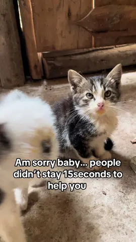 Am sorry baby… people didn’t stay 15seconds to help you 