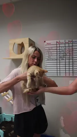 I had so much fun at @maurycountyanimalservice they have so many amazing pups & kittens to adopt! Check out the link in my story to get involved 🐶♥️🐱 🎥 : @Mitch Goudy 