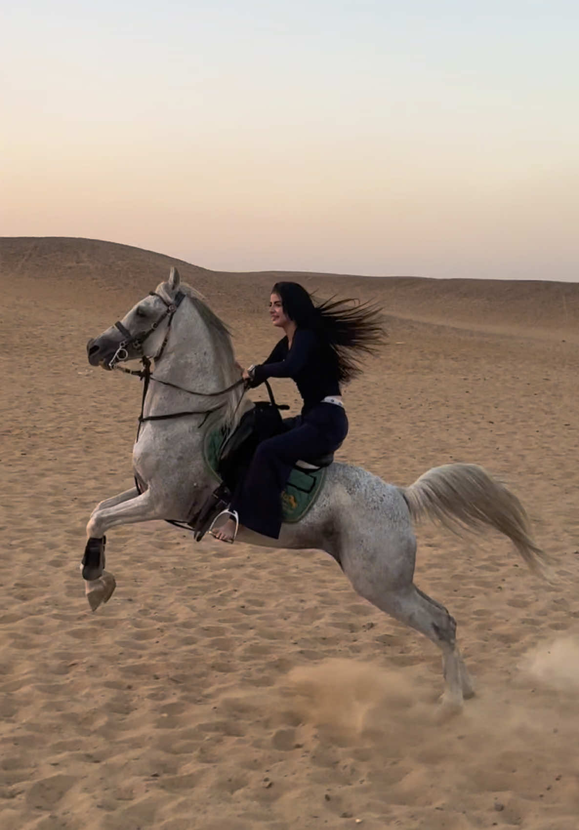احد ينزلي؟💪🔥 #خيل_وخياله🐎 #اكسبلور #fpy 