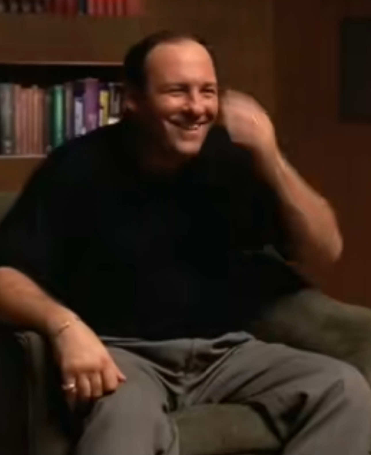 #thesopranos #tonysoprano #jamesgandolfini #fyp 