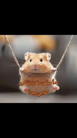 🙂🙂🙂 #الشعب_الصيني_ماله_حل😂😂 #مالي_خلق_احط_هاشتاقات #رياكشن #رياكشنات_مضحكه #رياكشنات #ضحك #foryou #اكسبلورexplore #pov 