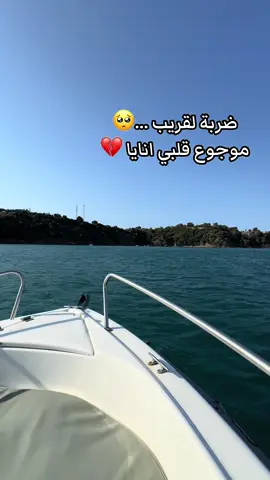 #ديدين_كلاش #ديدين_كلاش_أسطورة_الراب_الجزائري #ديدين_كلاش_أسطورة_الراب_الجزائري🇩🇿 #didincanon16 #didinklach #annaba #annaba23 #شعب_الصيني_ماله_حل😂😂 #fyp #pourtoi 