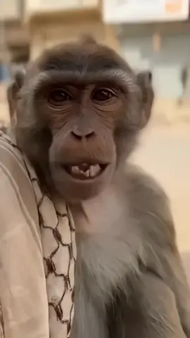 اليمني تقله سلفني يقول ماعندي ولا ريال تمشي من عنده يقولك اي خدمات 😂😂😂😂