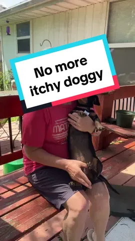No more rubbing her belly across the ground. She’s not scratching all the time and we aren’t paying a fortune for pet Rx. Give it a try @Finn Wellness #petallergies #itchydog #dogallergies #finnwellness #tiktokshopcreatorpicks 