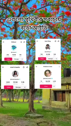 এগুলো পৃথিবীর সবচেয়ে বড় আইডি🤘🤘🤘😎😎