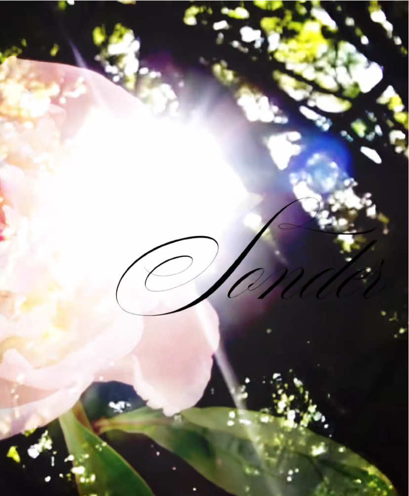 #liluzivert #flowers 