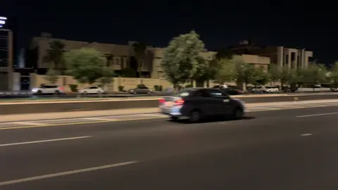 لايطمان كلبي#ليال 