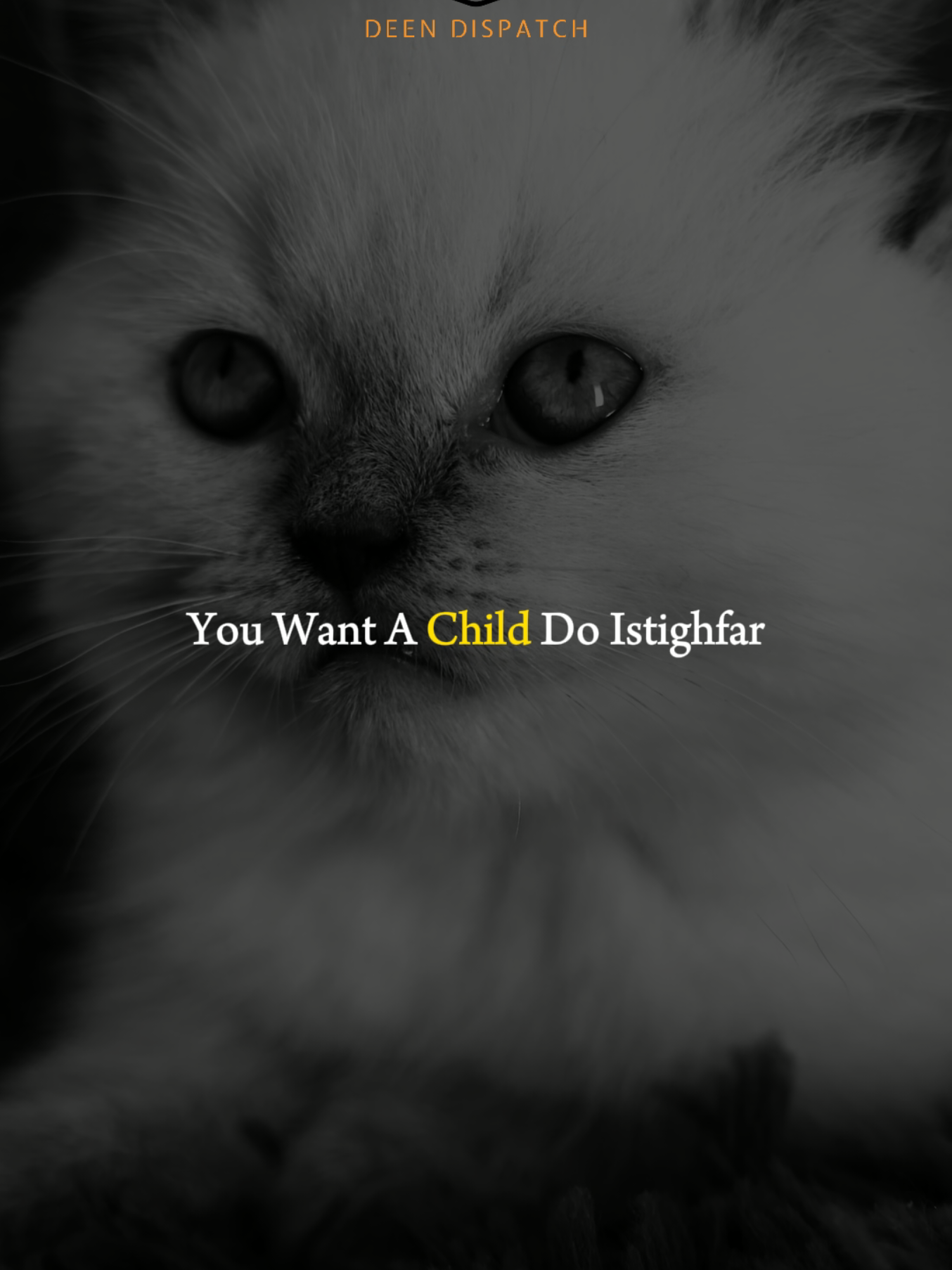 The Importance Of Istighfar #Allah #Islam #Muslim #IslamicQuotes #IslamicShorts #IslamicGuidance #Deen