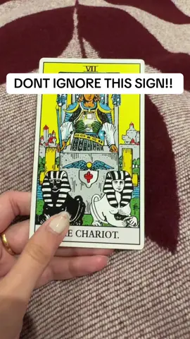 🌟 Thousands of 5 star reviews! shopmoonlightguidance.com  & www.etsy.com/shop/moonlightguidanceLtd Shop Services, readings & items can only be purchased here. 🩷 Can help with love, money, career, healing, business, black magic removal, protection, justice and so much more! Follow for daily videos everyday!! 🎥 YouTube: Moonlight Guidance #tarot #tarotreading #tarotcards  #pickacard #tarotcardoftheday #tarotcardreading #lovereading #twinflame #soulmate #ex #lawofattraction #astrology #spirituality #tarotreadings #tarotreading #spiritual #aries #leo #sagittarius #cancer #pisces #scorpio #virgo #taurus #capricorn #gemini #libra #aquarius #loa #fyp  