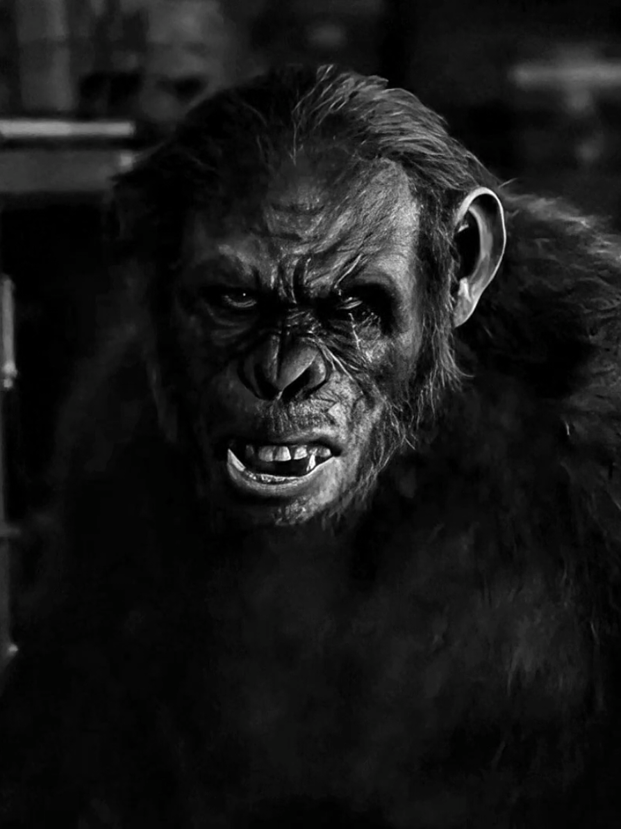 || KOBA || #koba #planetoftheapes #kobaedit #edit #villain 