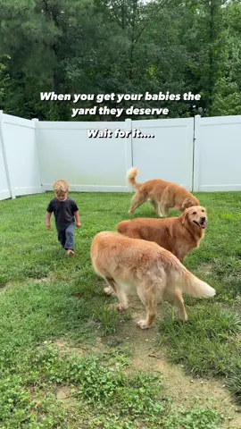 Getting them the yard they deserve! #goldenretriever #toddler 