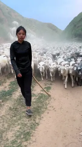 #bestchinesevideos 