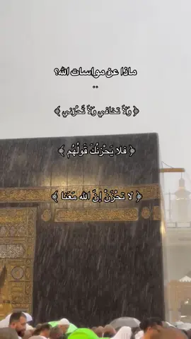 ﴿ وَلَا تخافي وَلَا تَحْزني ﴾  اجر- عني وعن كل مسلم- قران كريم❤️✨ ماذا عن مواسات الله؟