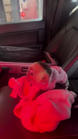 Aspens first car wash! 